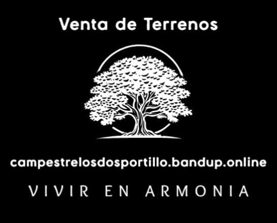 grande logo 33